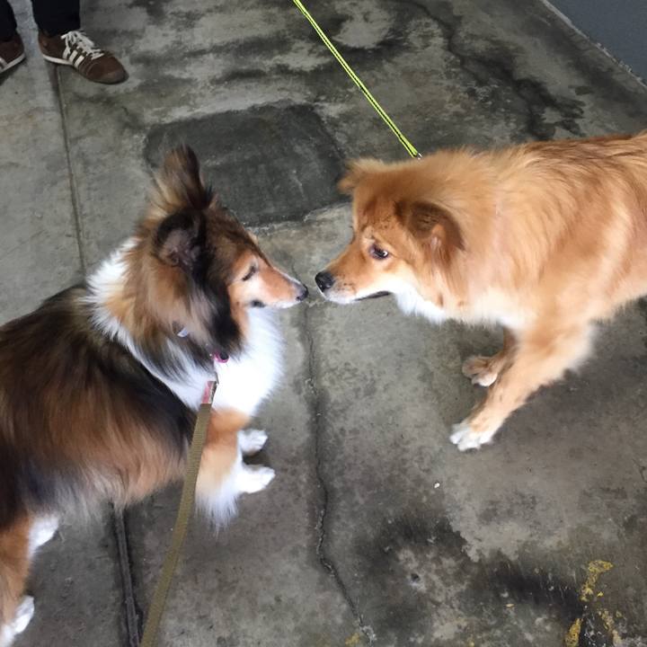 Bf8cce1b 7eb7 43a3 979a 37574798b0cd