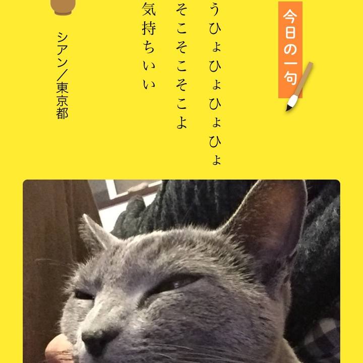 Bf8d2562 5258 4c3d 9eaf 84f59828c9db