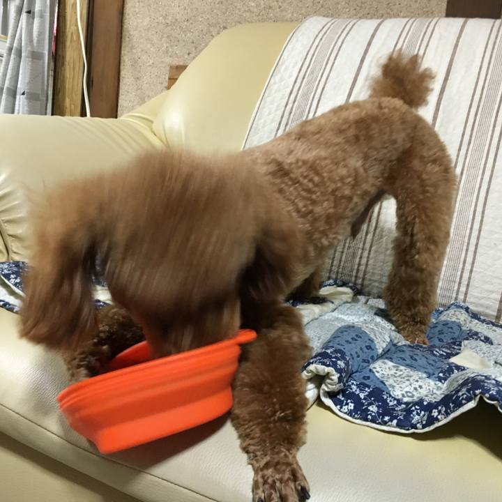 Bf8d4245 643c 4624 8610 3c4f102ce53d