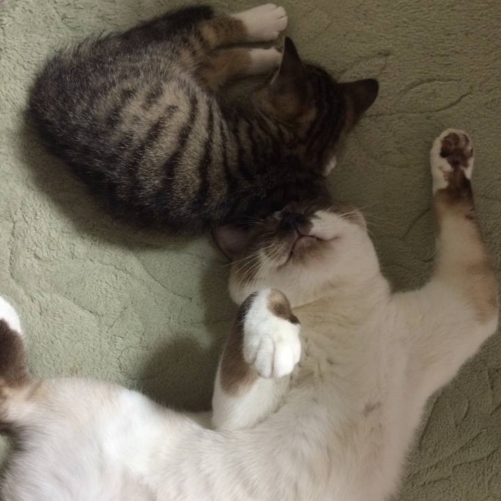 Bf8d6c52 31ad 46fd 922d 5ac79a6b0153