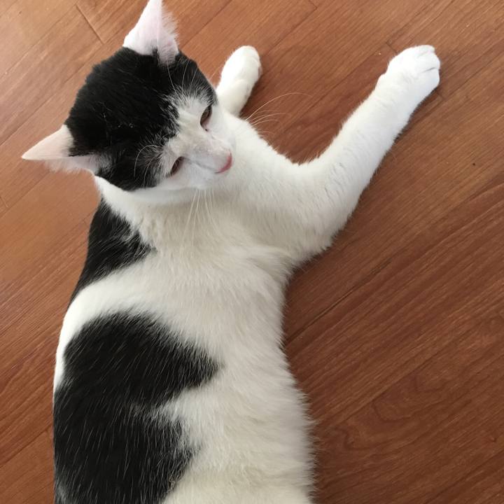 Bf8df553 6813 4cd8 8c88 f370dd020bca