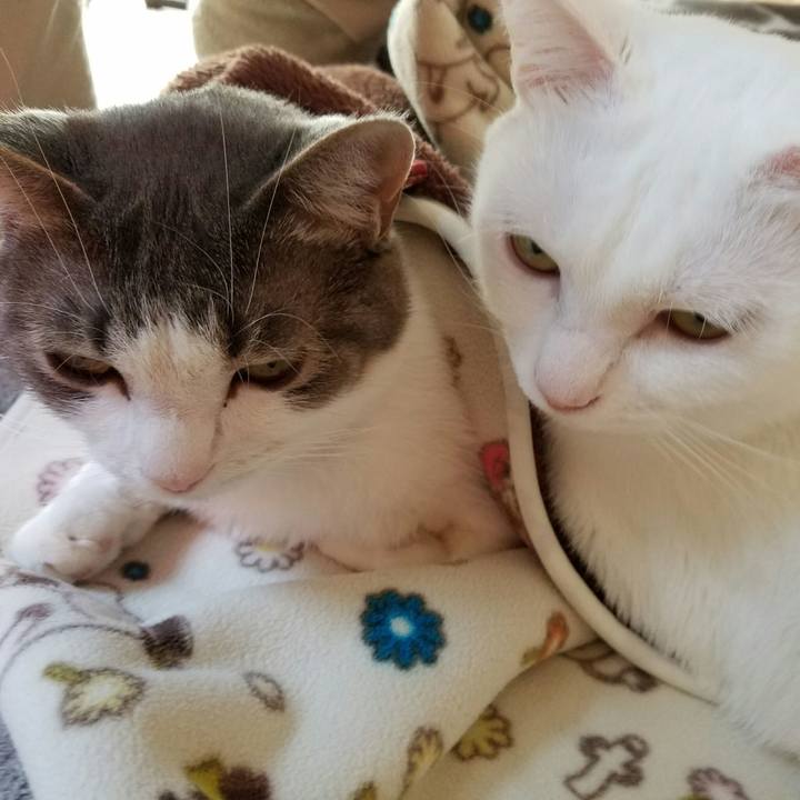 Bf8e89c7 b5de 4496 97f8 86d22ff9634c