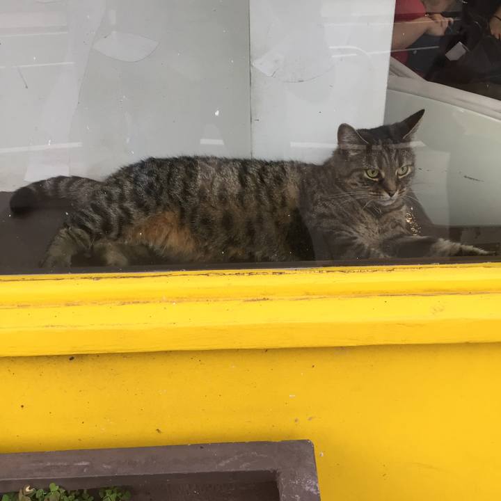 Bf8eea1d ba68 488f 9968 62040cdc3a42