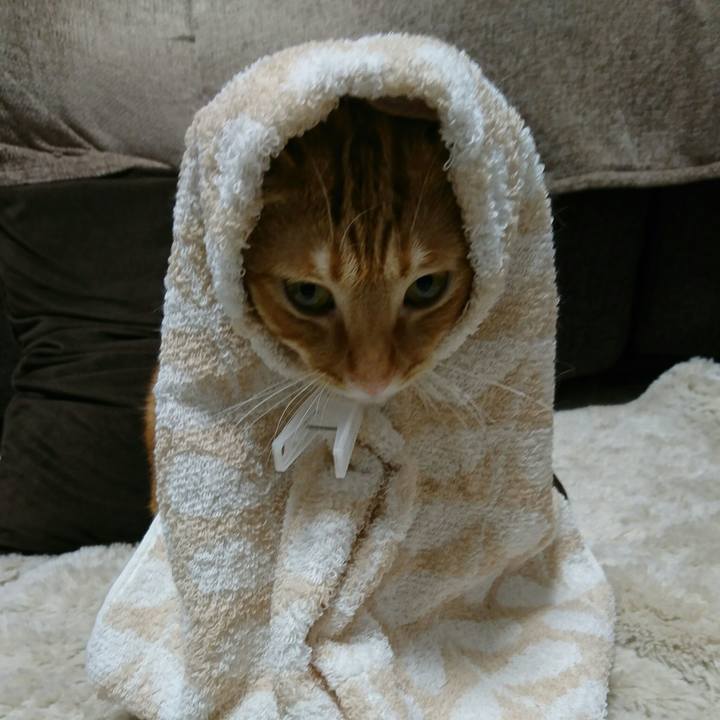 Bf8f9443 ebf2 4deb 971d 80f5db1cf0d8