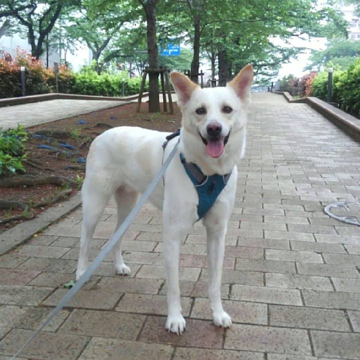 Bf8fd27e 9c5f 4269 9441 e22cd783e483