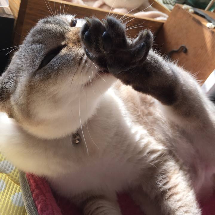 Bf900a27 e8c1 4668 b96e 1ba8dc6b52b9