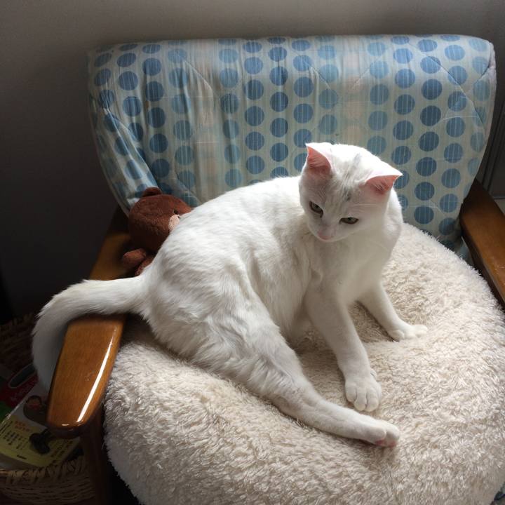 Bf907d1b e5dd 414f a153 01ff8681e171