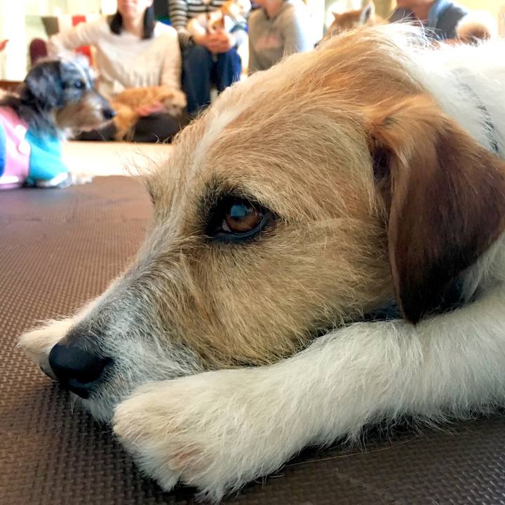 Bf9096a3 27c4 4fda 9d30 d9e508c0e4f0