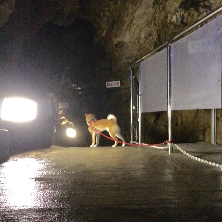 Bf90a72a 1cab 4b3e 90b3 05e82c0c8335