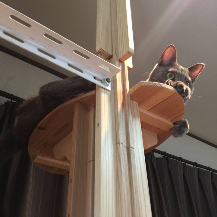 Bf90f8e0 20aa 4a5c ba57 d510ee006e37