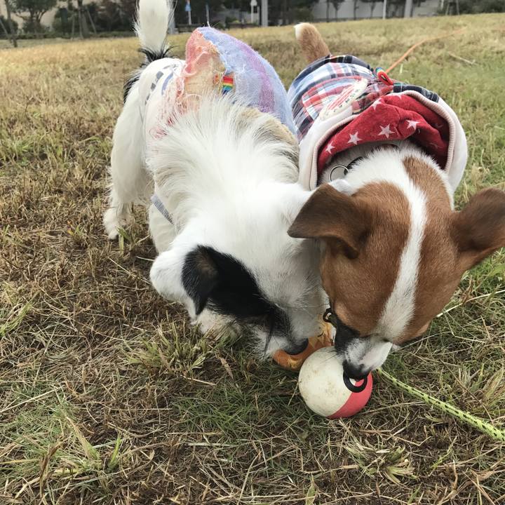 Bf9164bd 05a2 4e89 b80f 86374fd40dc3