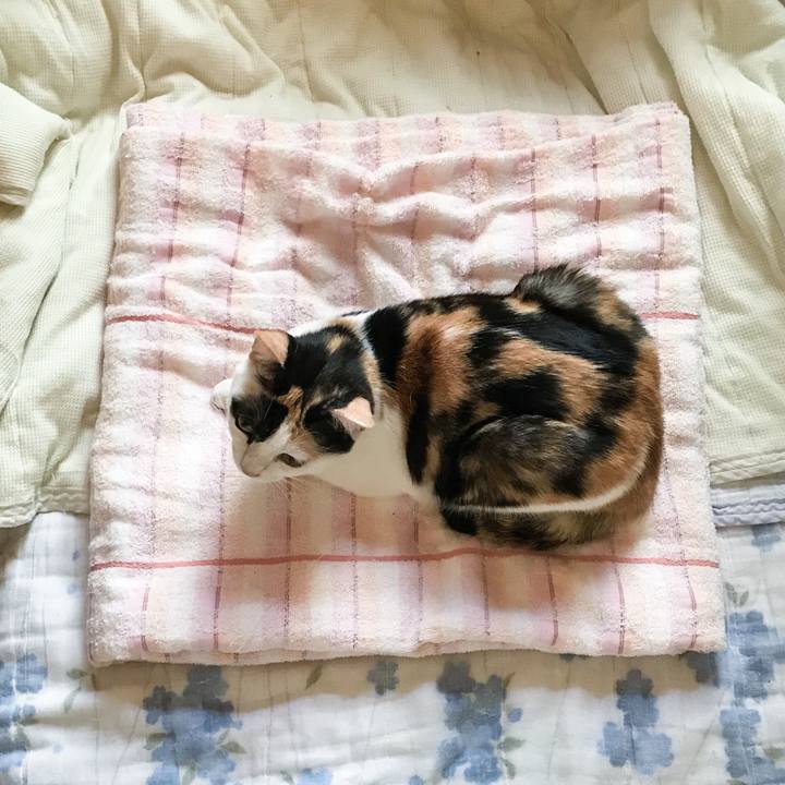 Bf918c6b 0fb3 4d5a baeb 386443b4a4da