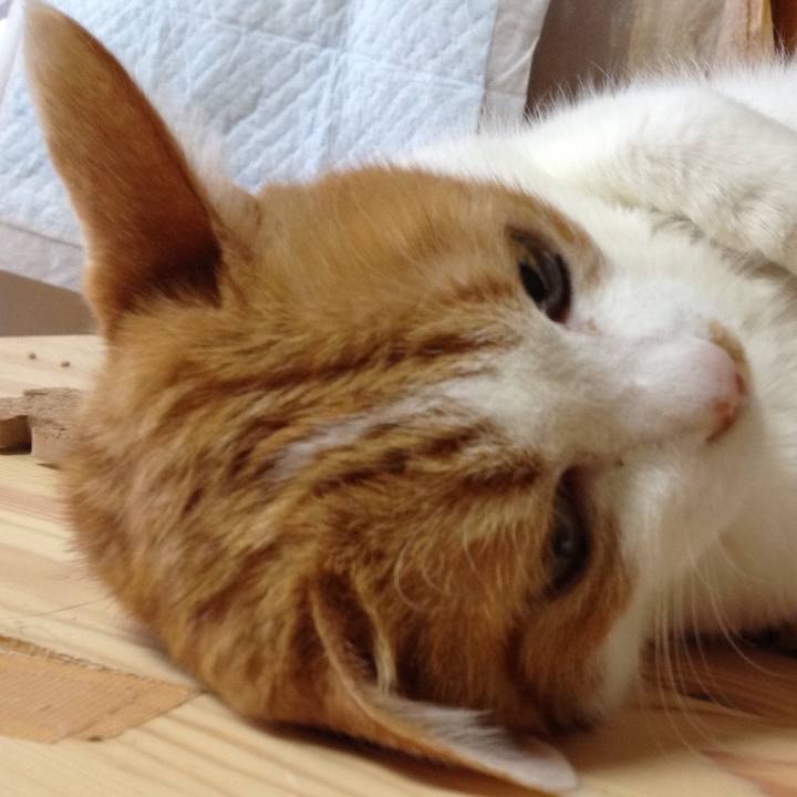 Bf91cc71 12a4 4101 b906 064fd9eb7c53