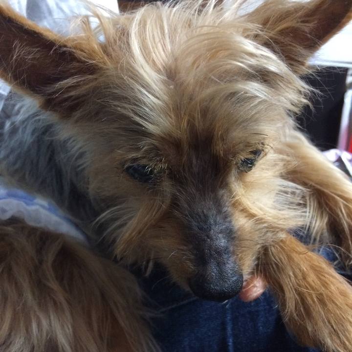 Bf9256b9 d3d4 4667 b9dc 5151c3787ef1