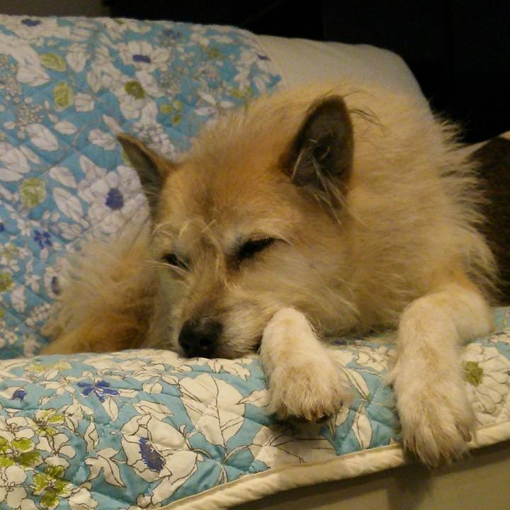 Bf936e0f c340 48fa 9204 cb018dd87dec