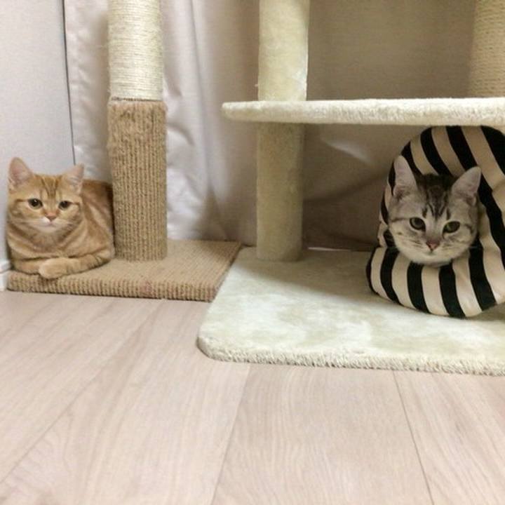 Bf93718e 9936 41f0 b845 31435fa916a5