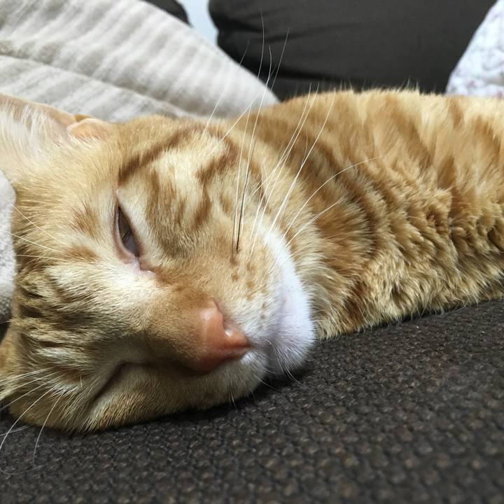 Bf939810 cb33 4f62 8a0a cbe54c4e5353