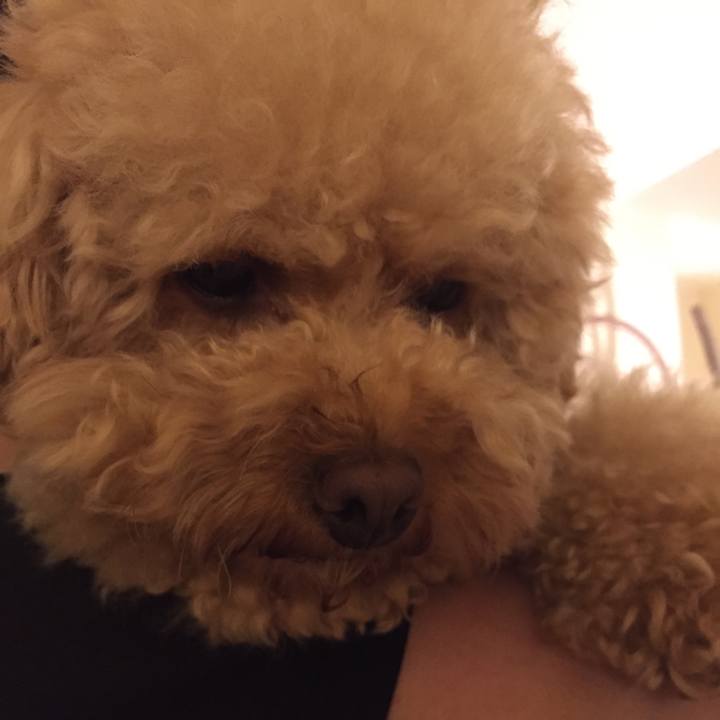 Bf9407a8 4f48 43ba affd 98b04349fd23