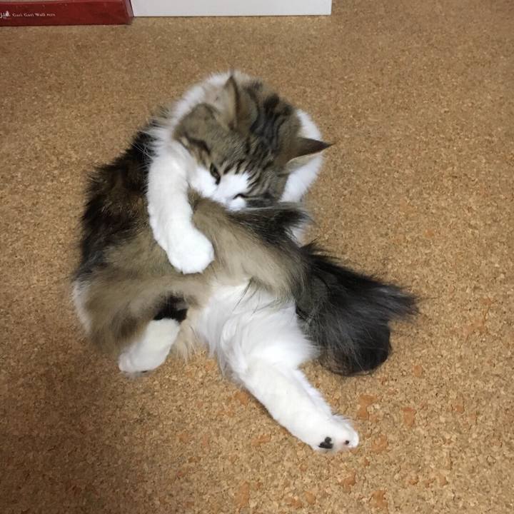 Bf946391 2d46 4f60 b25c d39ea7a05244