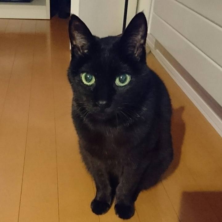 Bf94b264 ec41 4697 8db6 ad9f813e7bfa