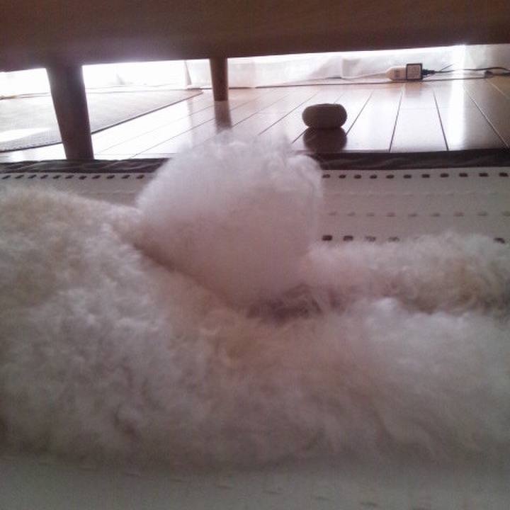 Bf94fce6 89c8 4b30 b7c4 1f5296b6b6ac