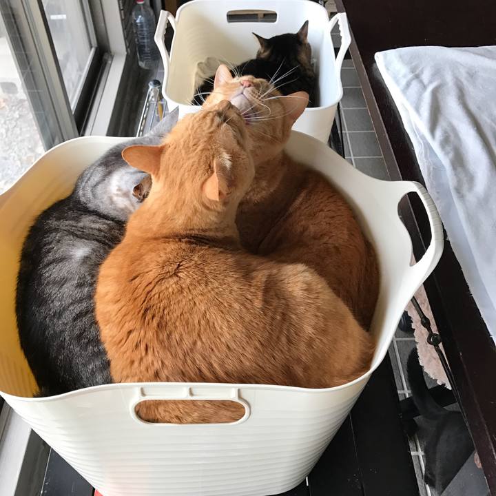 Bf968726 c0b6 4360 b8b3 8cec51c27df7