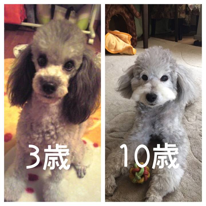 Bf979d0a 0184 4bad 8f21 852b39df52f8