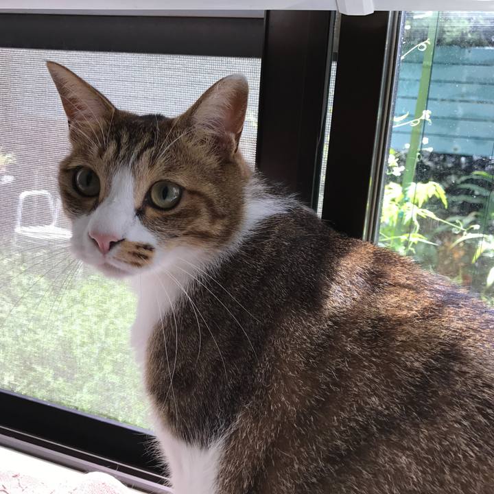 Bf97d94b afaa 4702 a09a a17e2a931435