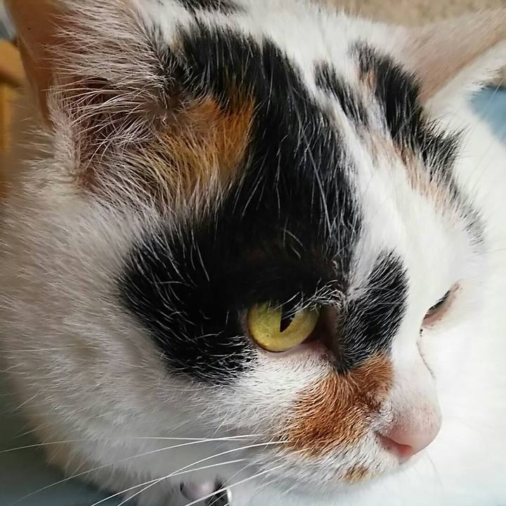 Bf98285a dc96 45b6 953e 248897d7967d