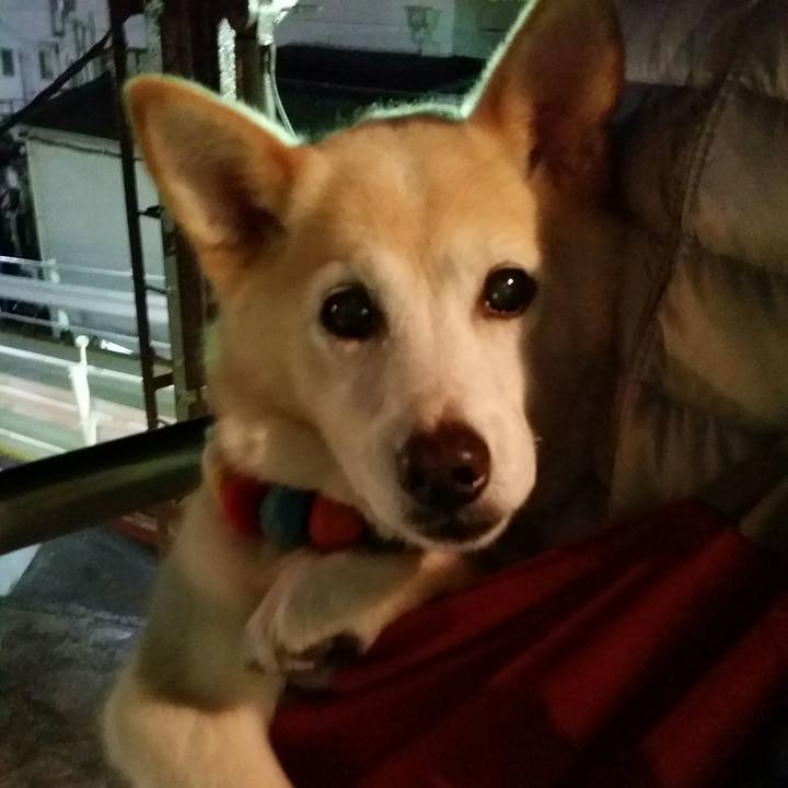 Bf98d992 4d66 4425 a704 eeedbff888db