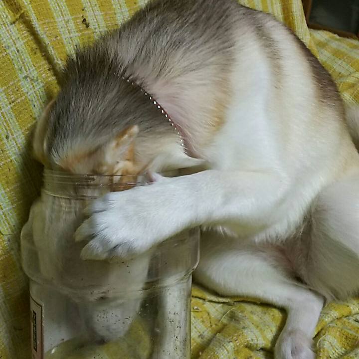 Bf9940eb dece 4400 a6db e9718728f395