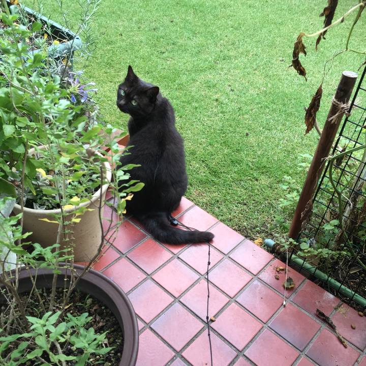 Bf99afa0 7c39 440b b99c dc438107afc3