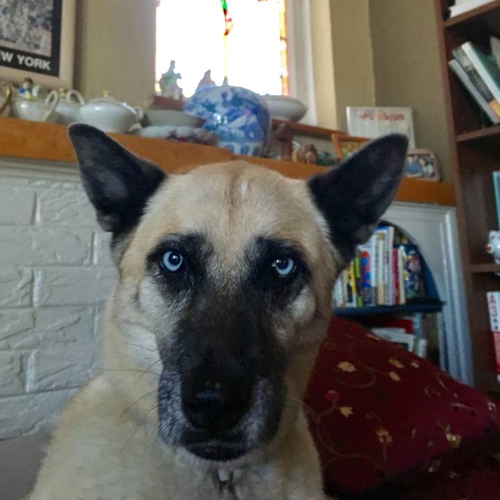 Bf9a585b 3647 43e8 819d 129c4ff3f680