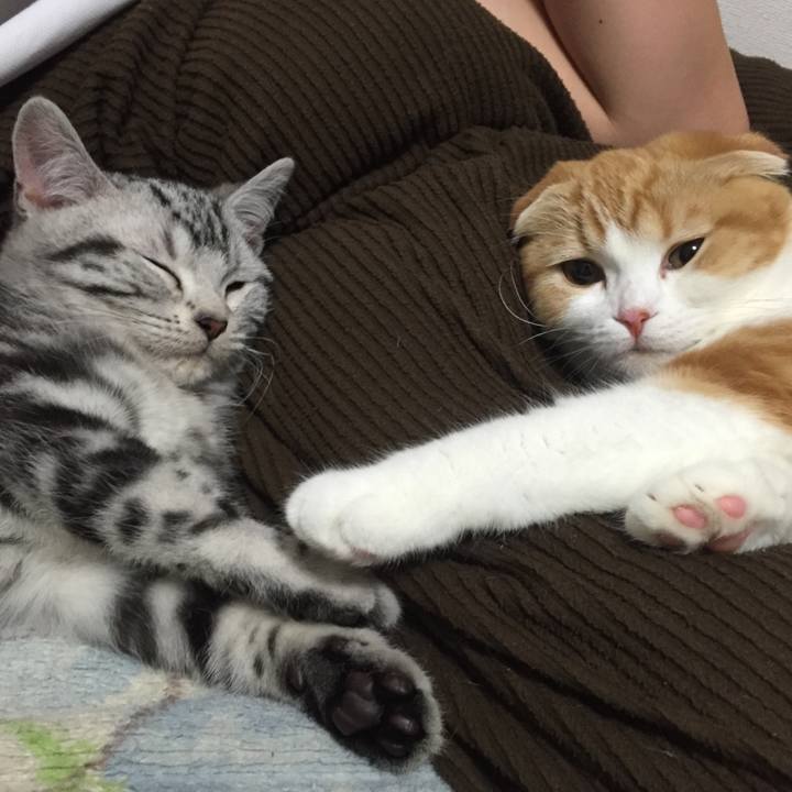 Bf9ac641 a3d7 498a 8d82 97a5f8305bad