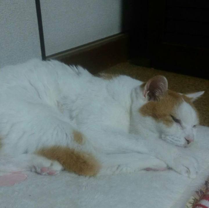 Bf9b35af 7939 468f b222 d10b94342a0f