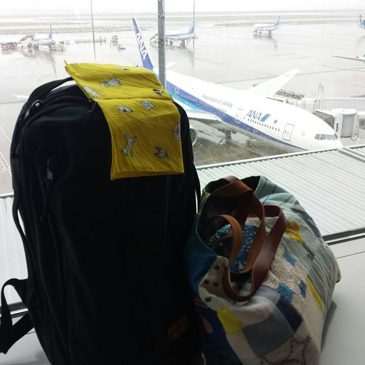 Bf9b5325 1092 4e32 8fee 2fd5e7481e91