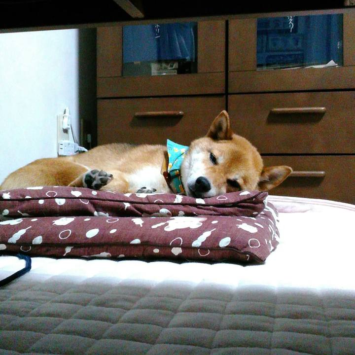 Bf9bf8b0 b3dd 476e a62e b171e95b1d4d