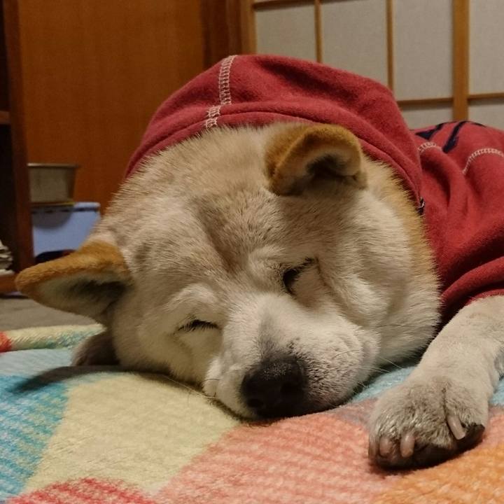 Bf9c6ba0 1ba0 48e7 ae1a 037c0bd885f1