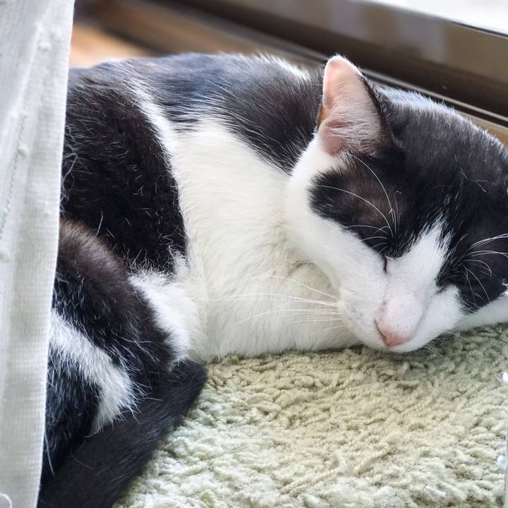 Bf9cd000 90b6 4971 9ef3 994f8f83ef4c