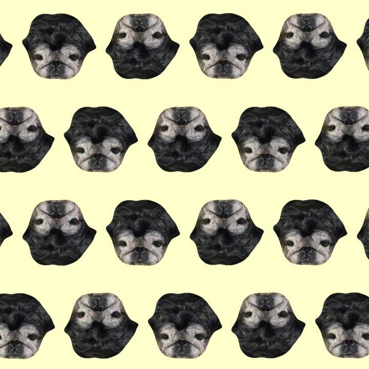 Bf9d3241 ac1f 4d8d 874f 547f059fe612