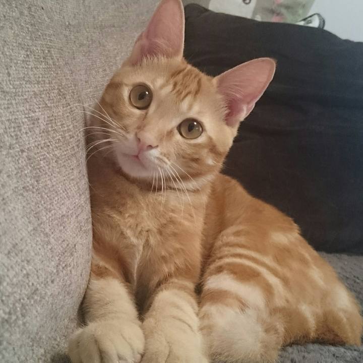 Bf9de00f 423e 4fc9 b8f7 97dd9b11911f