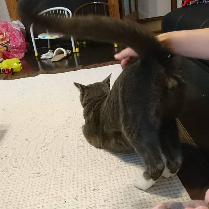 Bf9e0a99 c8b3 4b36 8932 8b370f82bc96