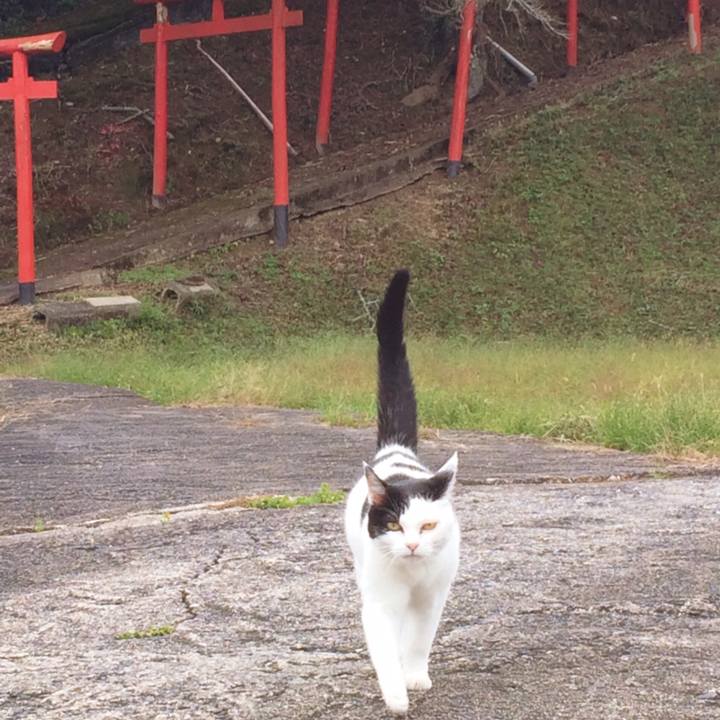 Bf9e7223 7c62 4282 987d cb4e73013c78