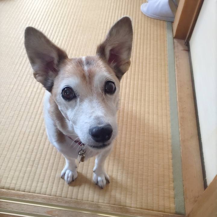 Bf9f0b2e f272 4d64 a07a 1df22789f131