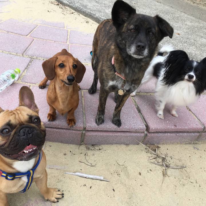 Bf9f6317 f320 4663 be0c 3b7d68c5e37c