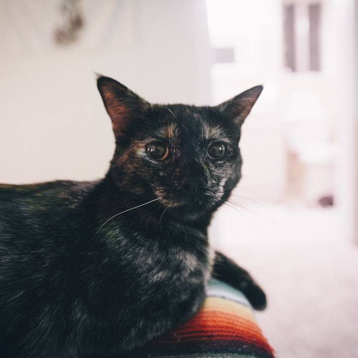 Bf9f6de2 f5d7 47bd bc87 fd3c8946dc31