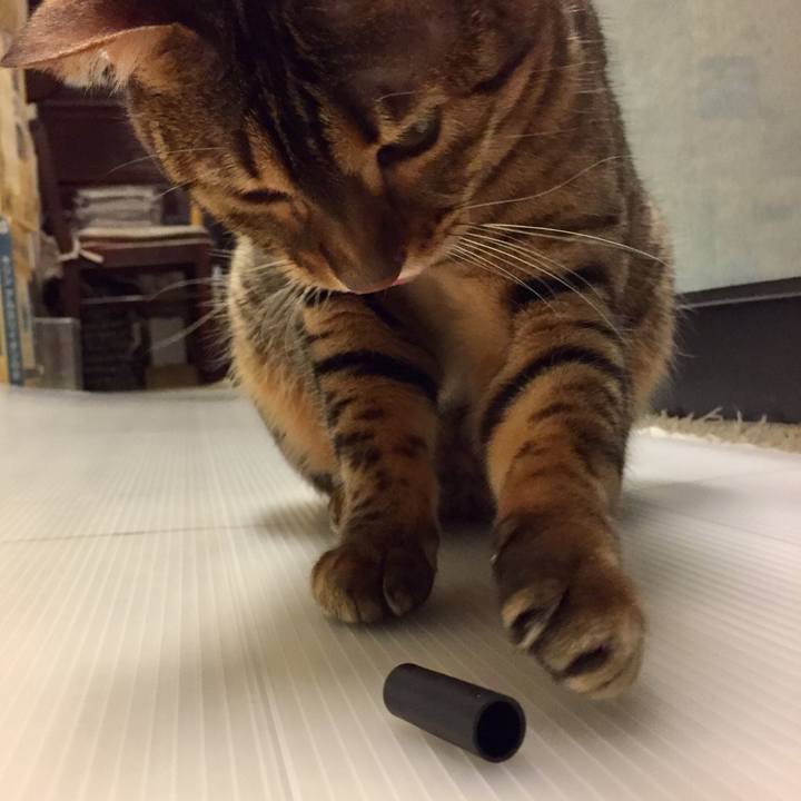 Bf9f7ff9 ddd6 4529 ad9a ca8aa941b283