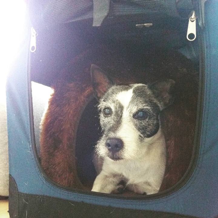 Bf9f9a11 f104 438a abe9 647d4deb31b9