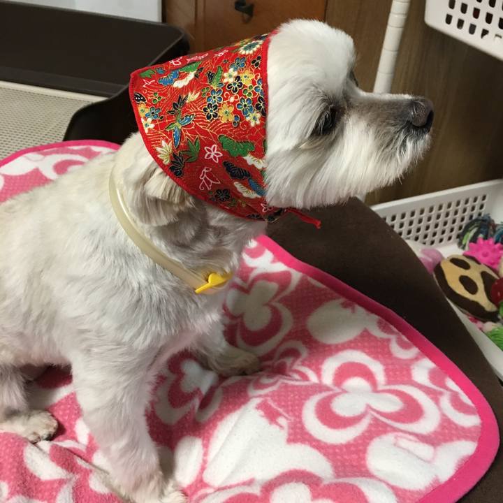 Bf9fb209 4cb4 4640 90c4 2383db9ae8d2