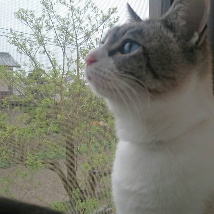 Bf9fbcb3 f836 4b12 bfe3 b8936e80d465